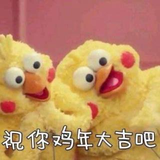 新春特辑：祝你鸡年大吉吧~