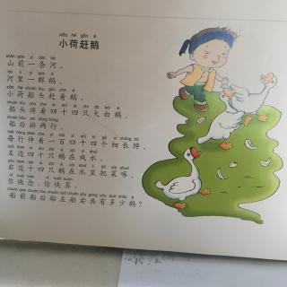 小荷赶鹅