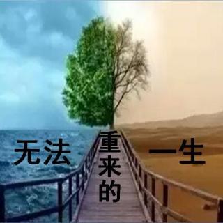 《无法重来的一生》