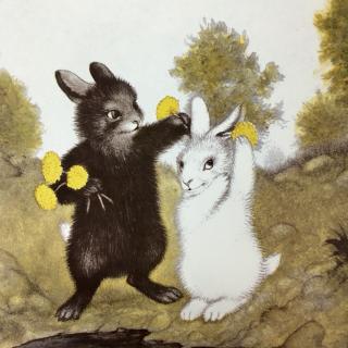 贝壳姐姐讲故事之《白兔和黑兔》