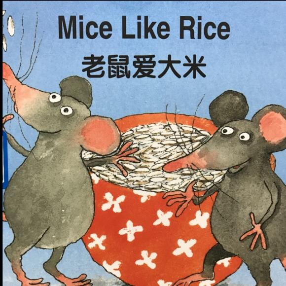 单词家族25.ice老鼠爱大米