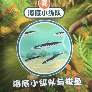 海底小纵队与梭鱼