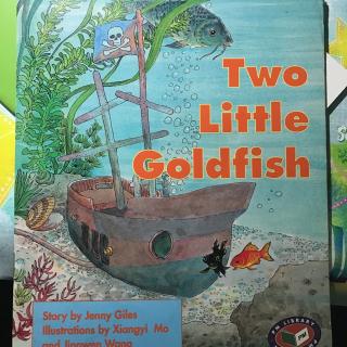 Two little goldfish