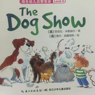 the dog show