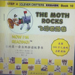 The moth rocks