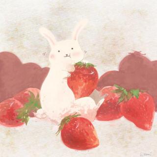 童话里的兔子【18】——小兔子给大兔子的信