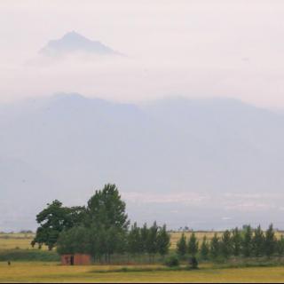 春天的田野