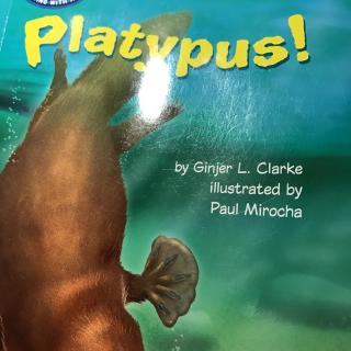 S2-Platypus-20170228