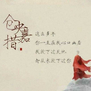 安意如《人生若只如初见》节选