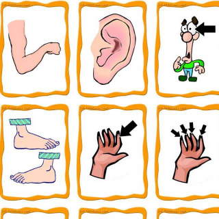 你是身体会说话