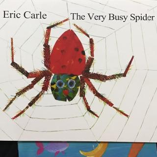 The very busy spider