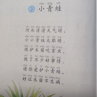 《小青蛙》