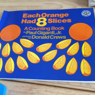 each orange had  eight 8 slices.-张朝越