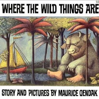 5岁宝宝讲第122个绘本故事《野兽出没的地方》