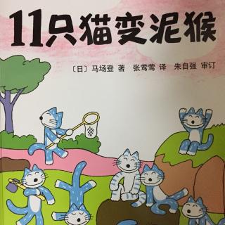 11只猫变泥猴