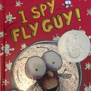 I spy fly guy20170304