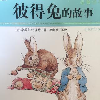 彼得兔和他的朋友们--彼得兔🐰的故事