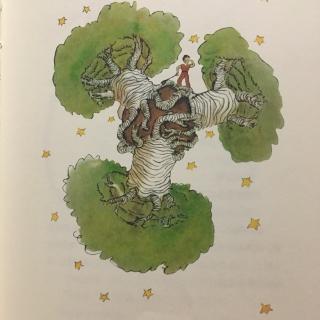 chapter05:小王子和猴面包树