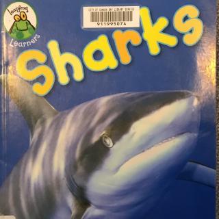 📚英语故事：sharks