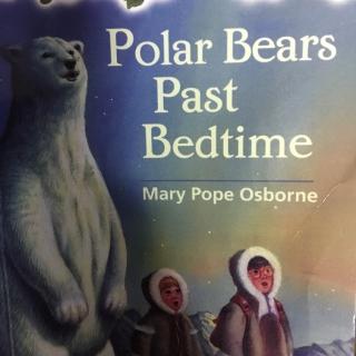 Chapter4-5 MTH 12 Polar Bear Past Bedtime
