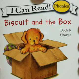 Biacuit and the Box(6)