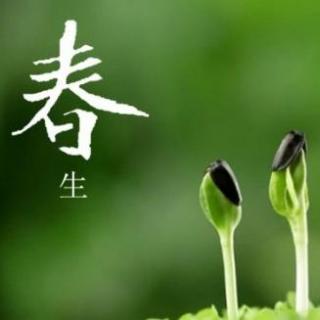 二2班张晟久同学朗诵《春》