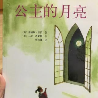 公主的月亮1