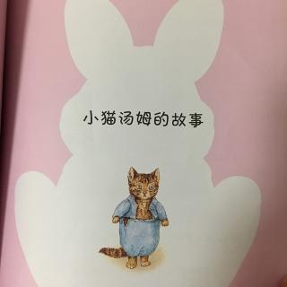 小猫汤姆的故事