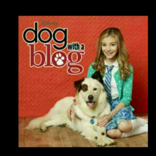 dog with a blog1