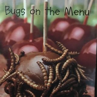 Bugs on the menu