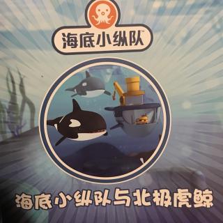 海底小纵队与北极虎鲸