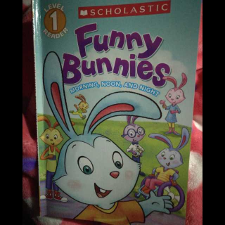funny bunnies