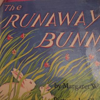 The runaway bunny（三阶）
