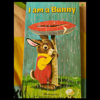 和大宝读《I. am. a. Bunny》