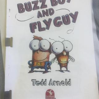 buzz boy and fly guy 球