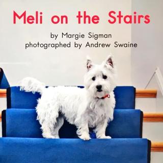 G1  book35 Meli on the stairs