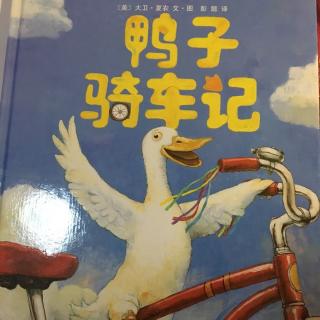 鸭子骑车记