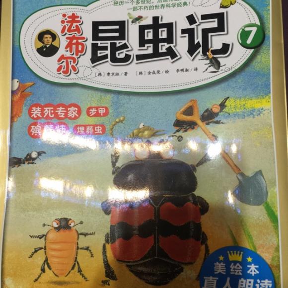 法布尔昆虫记-殡葬师-埋葬虫