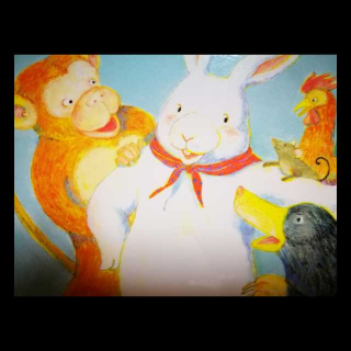 小兔子和女巫