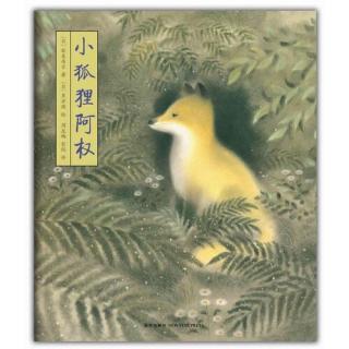 124、小狐狸阿权（上）🦊