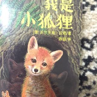 庆恩宝宝给妈妈读书：《我是小狐狸》