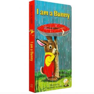 #樾妈英语启蒙# I am a bunny