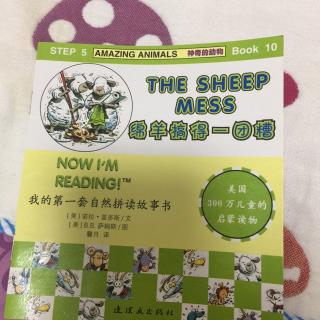 The sheep mass