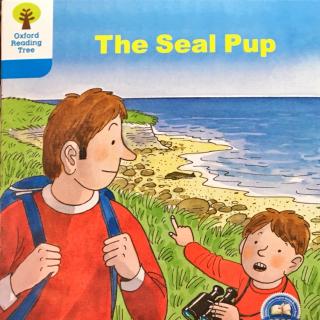 DD 4-6 The seal pup