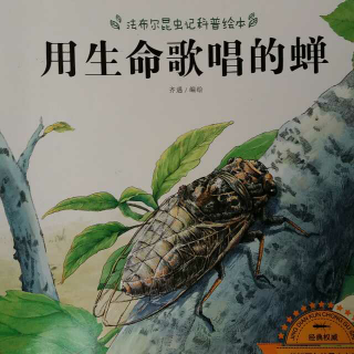 《法布尔昆虫记科普绘本》系列之《用生命歌唱的蝉》