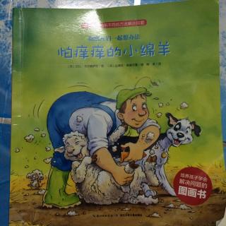 和朋友们一起想办法    怕痒痒的小绵羊🐑