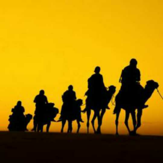骆驼为什么称为“沙漠之舟”