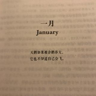 《今天 TODAY》1月1日 ｜国王的毒衣