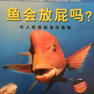 绘本故事：鱼会放屁吗？