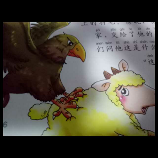 鹰与乌鸦……雯雯